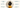 Dog wearing a yellow coat with text highlighting features on a white background
