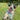 Dog wearing a blue pouty paws cooling bandana in a grassy outdoor setting