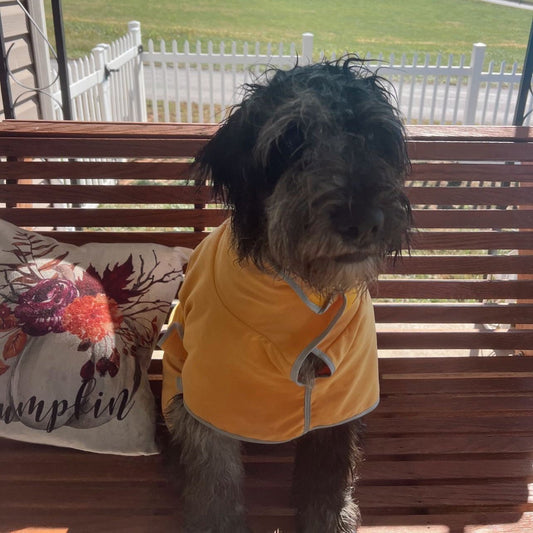 Dog Bath Robe - Super Absorbent + Lightweight - Pouty Paws