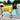 Dog wearing Pouty Paws drying robe standing by pool after a swim