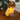 Happy goldendoodle wearing Pouty Paws drying robe sitting indoors after bath
