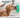 Golden retriever being bathed while licking a green suction lick mat on the tiled wall