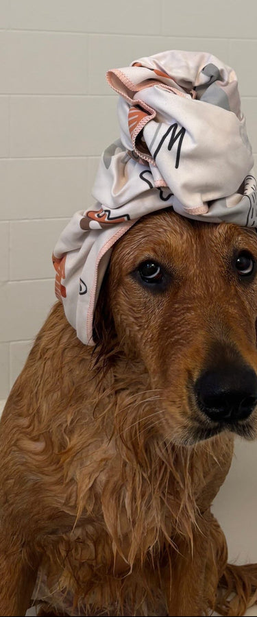 Dog with pouty paws towel on its head sitting in a bathtub against a tiled wall.