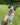 Sunny Dog Cooling Bandana