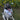 Dog wearing Pouty Paws Barkoholic bandana lying in garden with yellow flowers