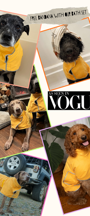 Collage of dogs wearing yellow Pouty Paws drying robes at home and outdoors with promotional text