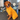 Golden retriever wearing a yellow Pouty Paws dog drying robe at home, with callouts about containing fur and dirt