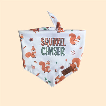 Pouty Paws Squirrel Chaser reversible dog bandana front side with squirrel print design